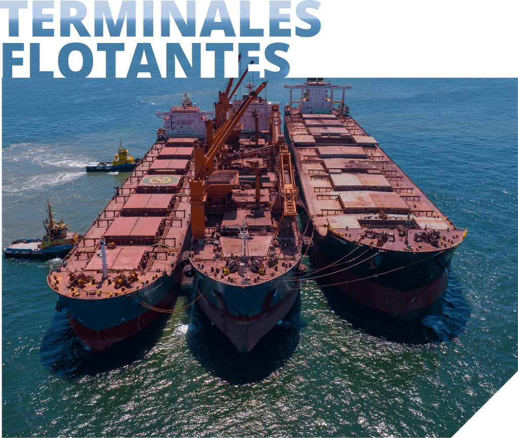 Terminales flotantes: tres grandes buques de carga anclados en el mar